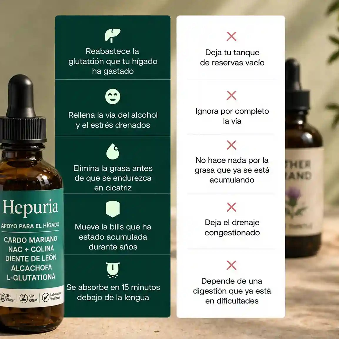 Soporte hepático Hepuria